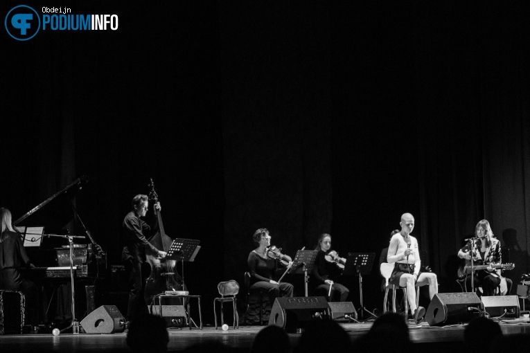 Kovacs op Kovacs - 19/11 - Theater de Spiegel foto