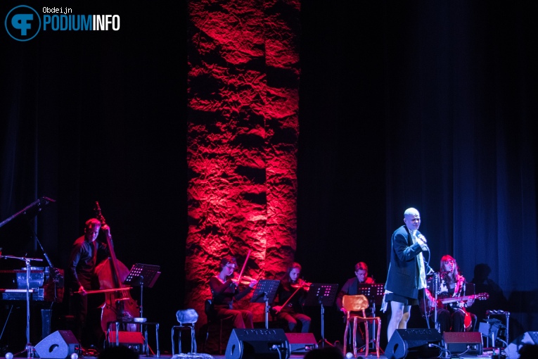 Kovacs op Kovacs - 19/11 - Theater de Spiegel foto