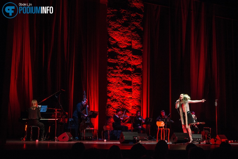 Kovacs op Kovacs - 19/11 - Theater de Spiegel foto