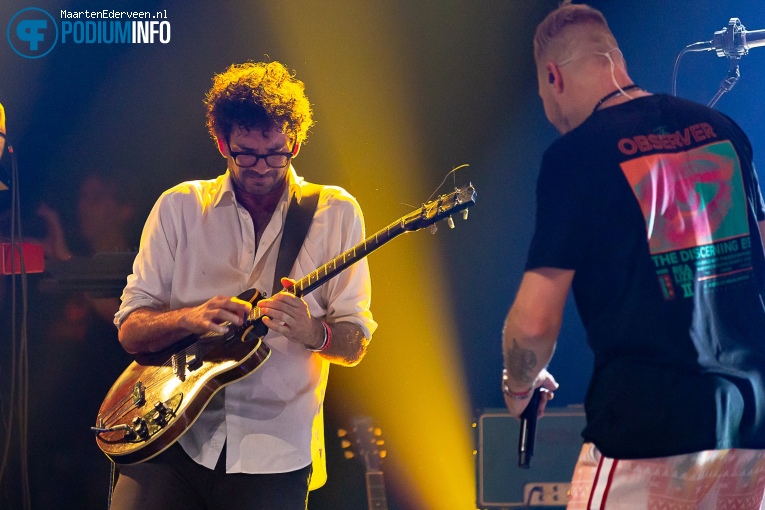 Splendid op Splendid - 12/11 - Paard foto