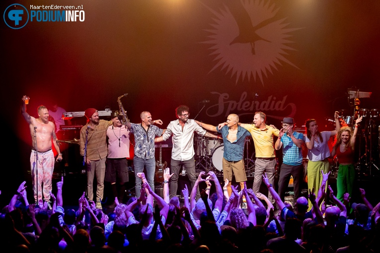 Splendid op Splendid - 12/11 - Paard foto