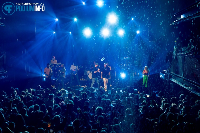 Splendid op Splendid - 12/11 - Paard foto