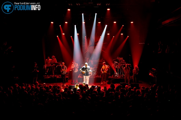 Splendid op Splendid - 12/11 - Paard foto