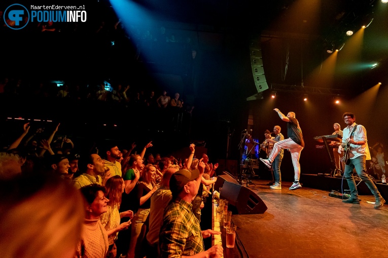 Splendid op Splendid - 12/11 - Paard foto