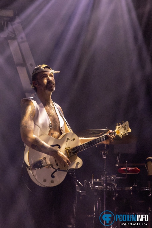 Goldband op Goldband - 17/11 - Patronaat foto