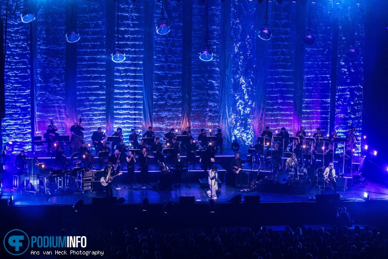 Di-rect op Di-rect / Residentie Orkest - 03/02 - AFAS Live foto