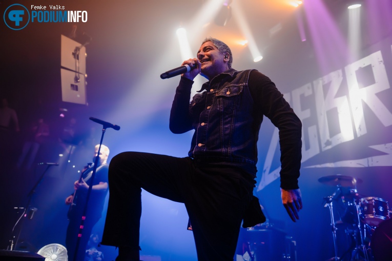 Zebrahead op Zebrahead - 02/03 - TivoliVredenburg foto