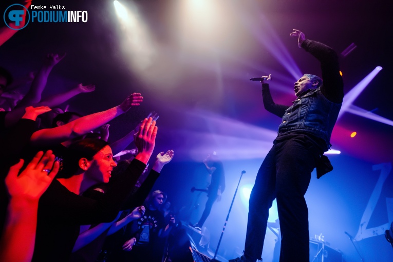 Zebrahead op Zebrahead - 02/03 - TivoliVredenburg foto