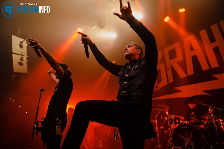 Zebrahead op Zebrahead - 02/03 - TivoliVredenburg foto