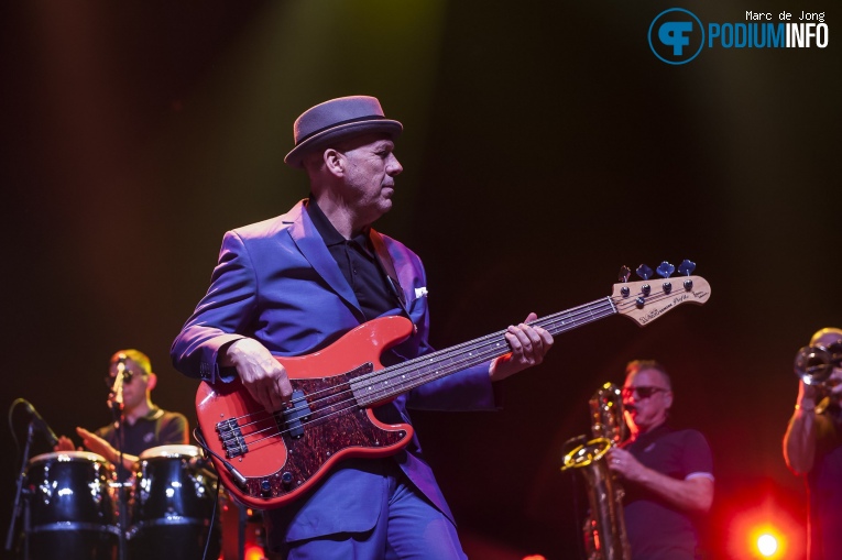 Madness op Madness - 01/04 - AFAS Live foto