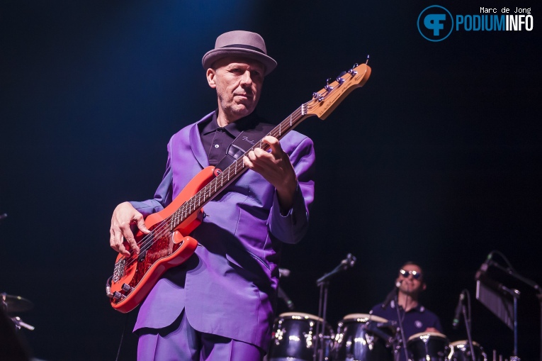Madness op Madness - 01/04 - AFAS Live foto