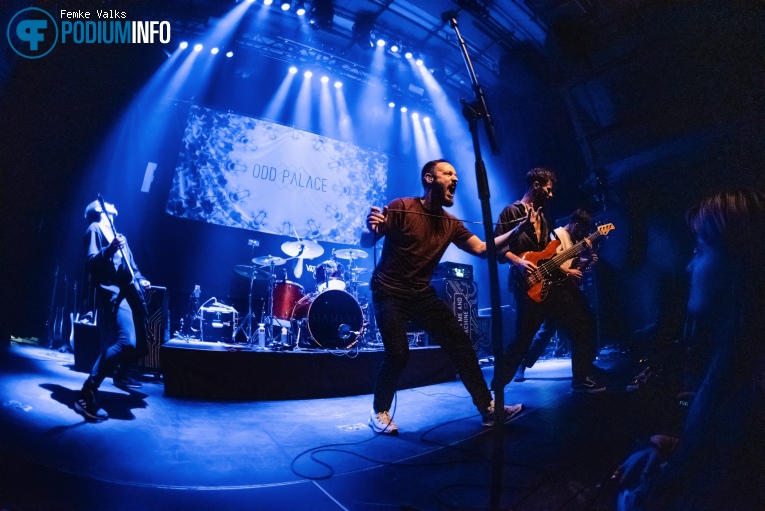 Odd Palace op Siamese - 15/04 - Nieuwe Nor foto
