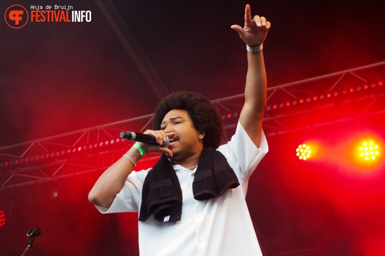 Bevrijdingsfestival Zuid-Holland 2023 foto
