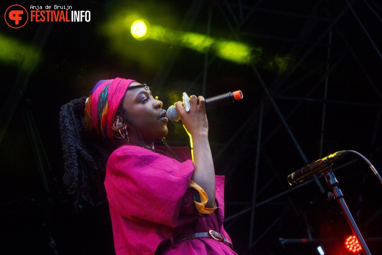 Pink Oculus op Bevrijdingsfestival Zuid-Holland 2023 foto