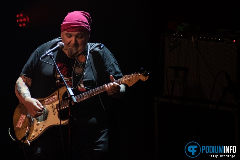 Popa Chubby op Popa Chubby - 02/05 - Hedon foto