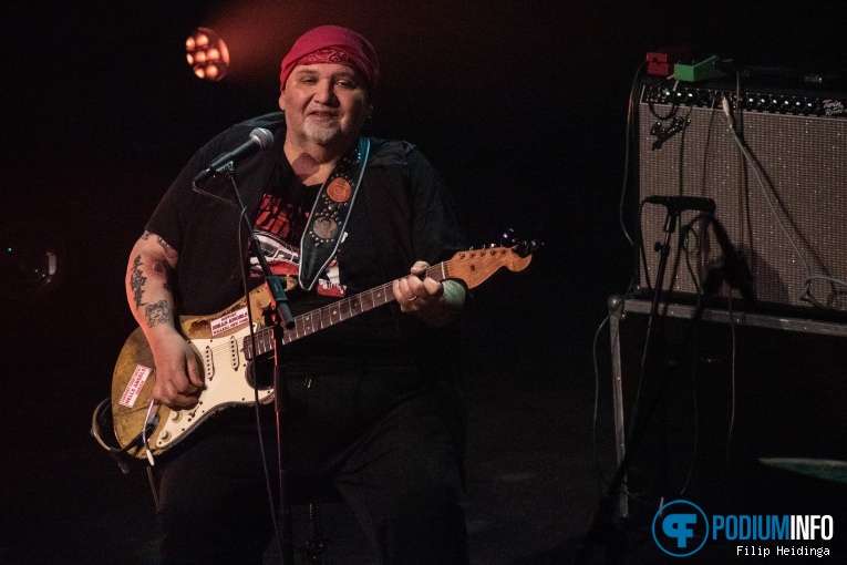 Popa Chubby op Popa Chubby - 02/05 - Hedon foto