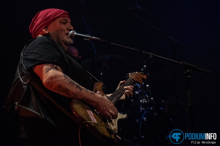 Popa Chubby op Popa Chubby - 02/05 - Hedon foto