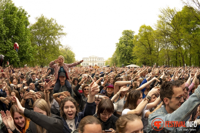 Bevrijdingspop Haarlem 2023 foto