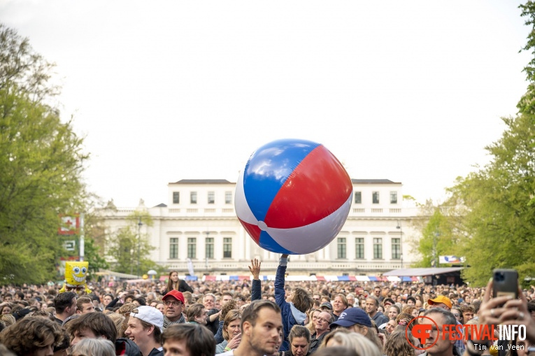 Bevrijdingspop Haarlem 2023 foto