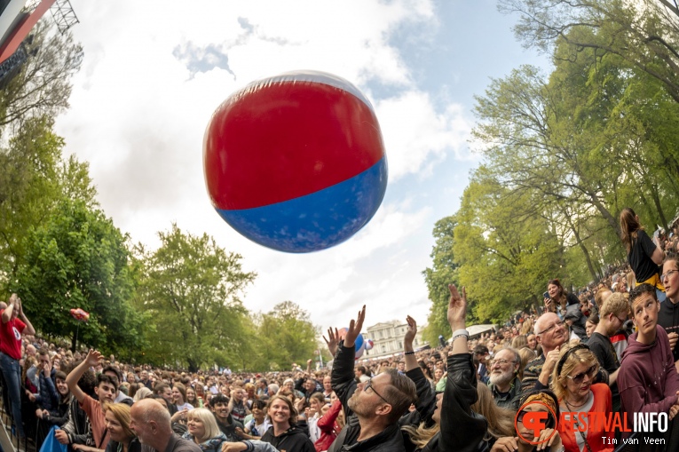 Bevrijdingspop Haarlem 2023 foto