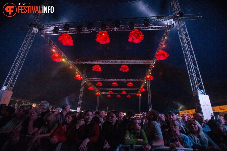 Ribs & Blues 2023 foto