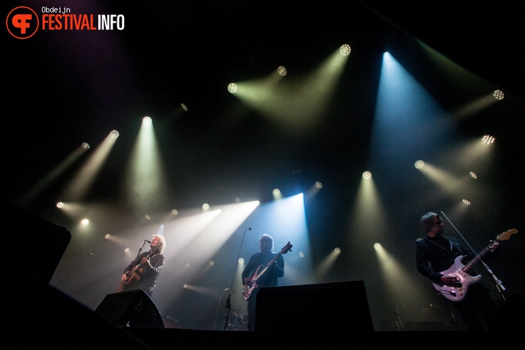 The Analogues op Ribs & Blues 2023 foto