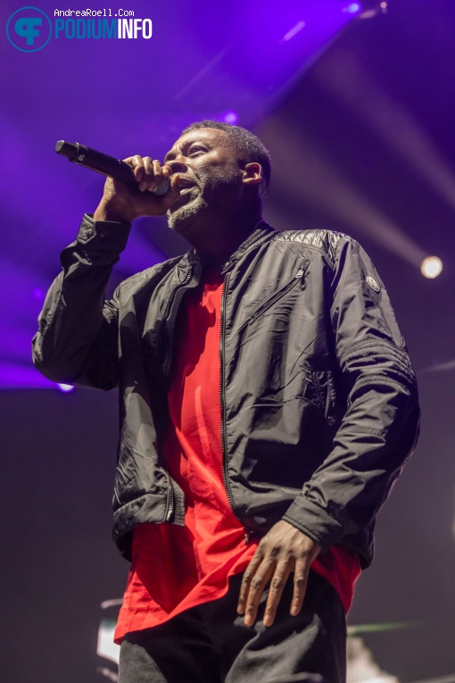 Wu-Tang Clan op Wu-tang Clan & Nas - Ny State Of Mind Tour - 06/06 - Ziggo Dome foto
