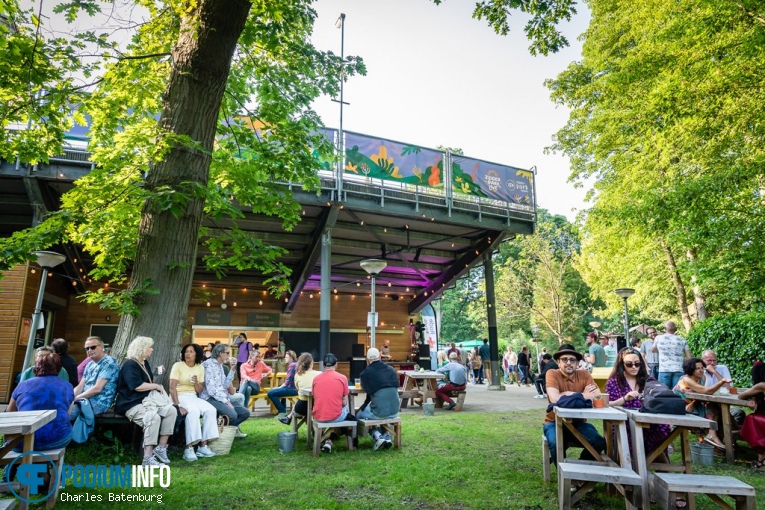 Zuiderpark Live: Curtis Harding - 08/06 - Zuiderparktheater foto