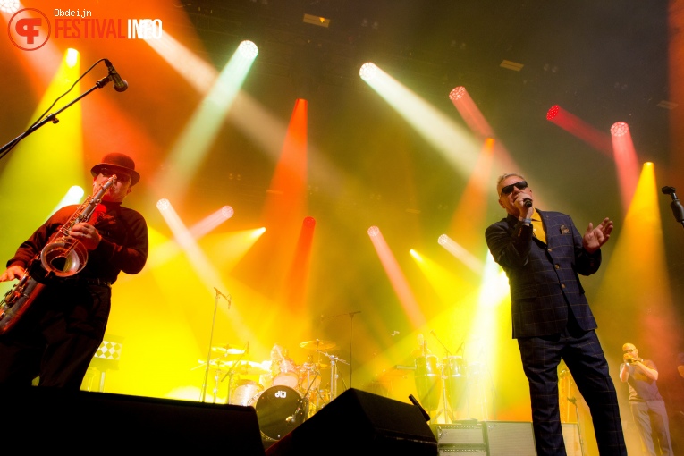 Madness op Hello Festival 2023 foto