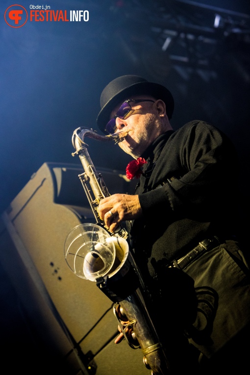 Madness op Hello Festival 2023 foto