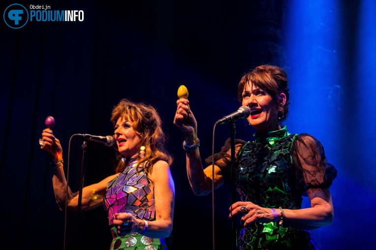 Gruppo Sportivo op Gruppo Sportivo - 23/06 - Luxor Live foto