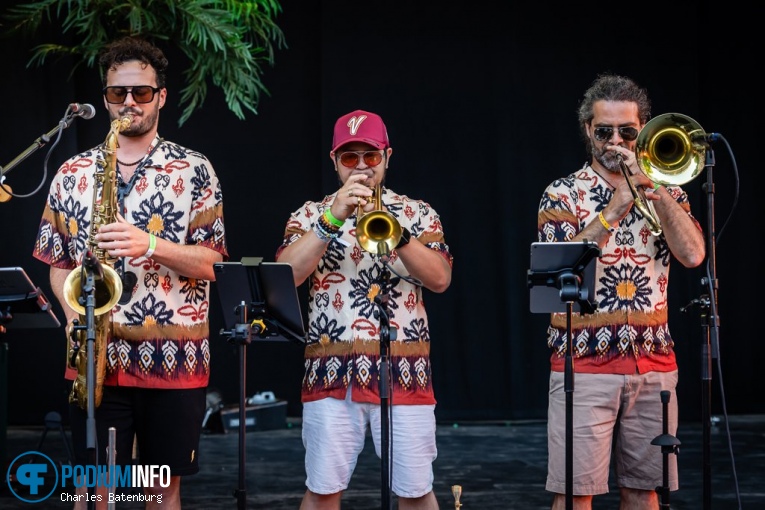 Young Gun Silver Fox op Zuiderpark Live: Young Gun Silver Fox - 23/03 - Zuiderparktheater foto