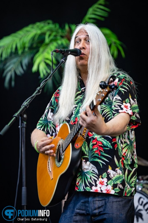 Young Gun Silver Fox op Zuiderpark Live: Young Gun Silver Fox - 23/03 - Zuiderparktheater foto