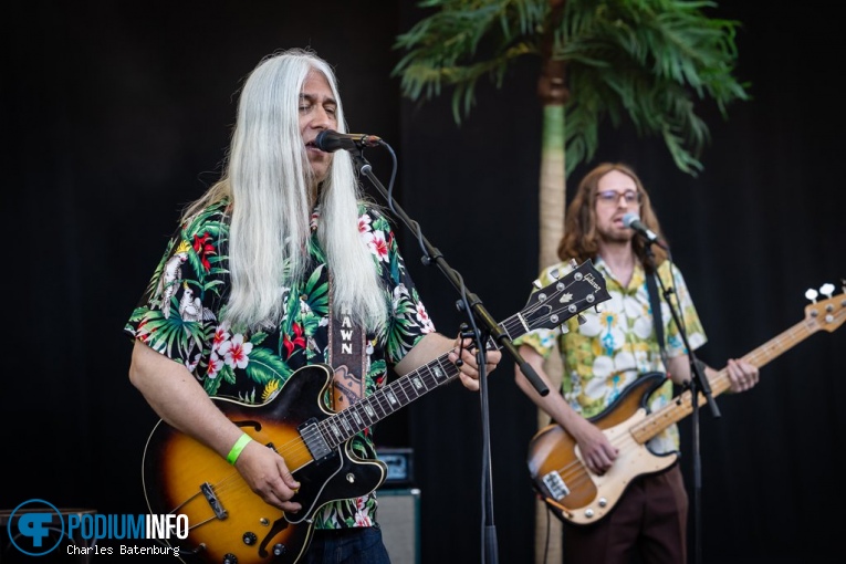 Young Gun Silver Fox op Zuiderpark Live: Young Gun Silver Fox - 23/03 - Zuiderparktheater foto