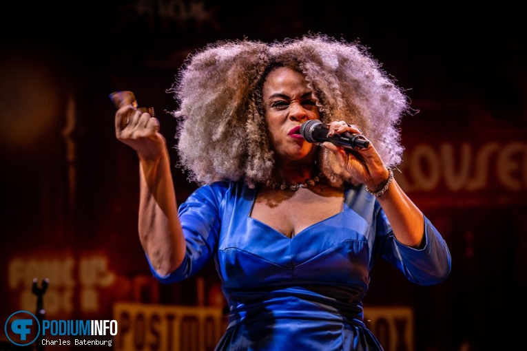 Zuiderpark Live: Scott Bradlee’s Postmodern Jukebox - 15/09 - Zuiderparktheater foto