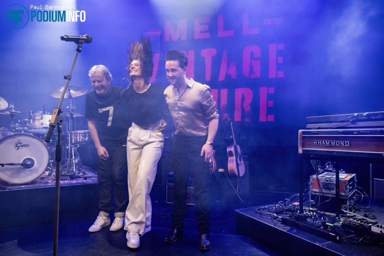 Mell & Vintage Future op Mell & Vintage Future - 01/10 - Paard foto
