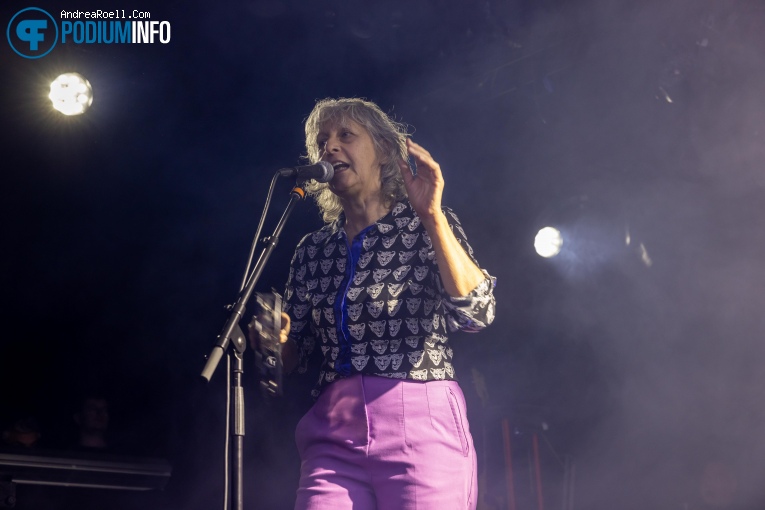 Les Negresses Vertes op Les Negresses Vertes - 11/11 - Tolhuistuin foto