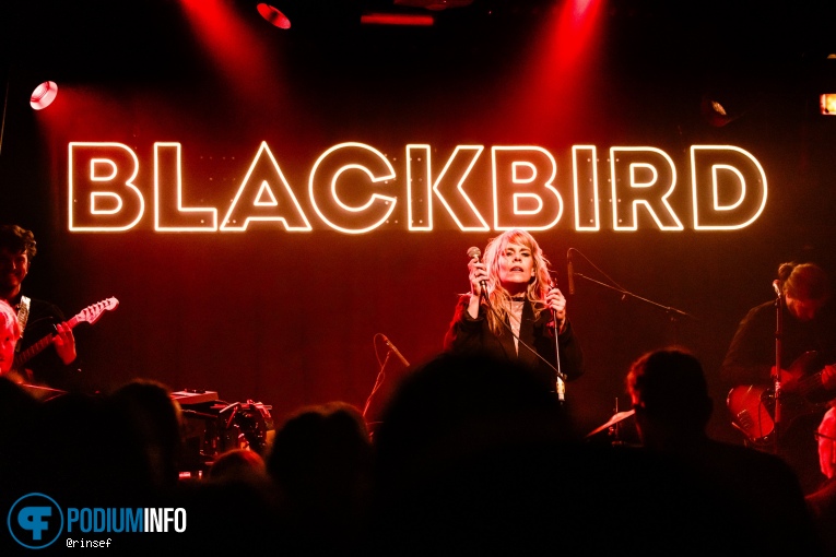 Blackbird op Blackbird - 12/12 - Bitterzoet foto