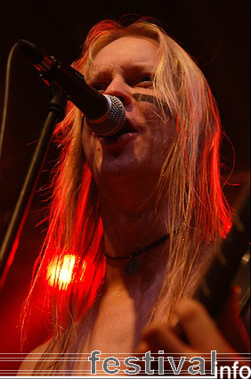 Ensiferum op Frostrock 2009 foto