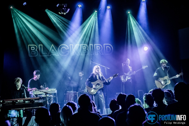 Blackbird op Blackbird - 02/03 - Metropool foto