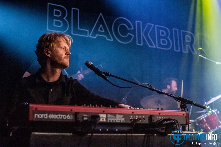 Blackbird op Blackbird - 02/03 - Metropool foto