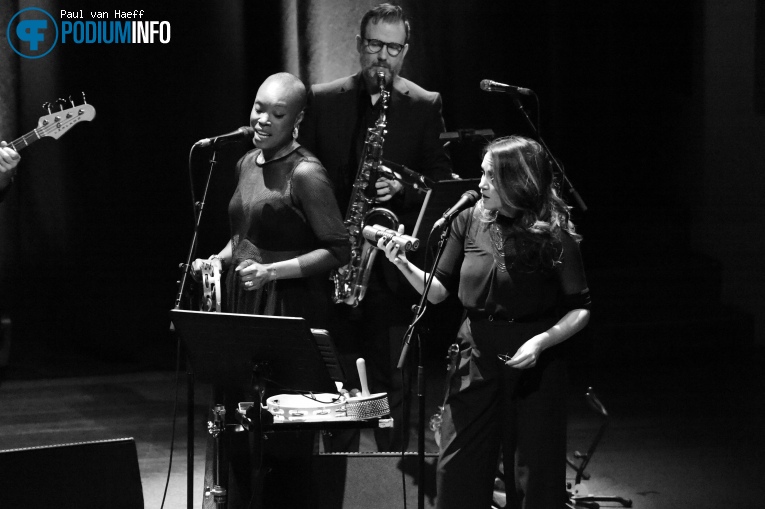 Van Morrison op Van Morrison - 30/04 - TivoliVredenburg foto