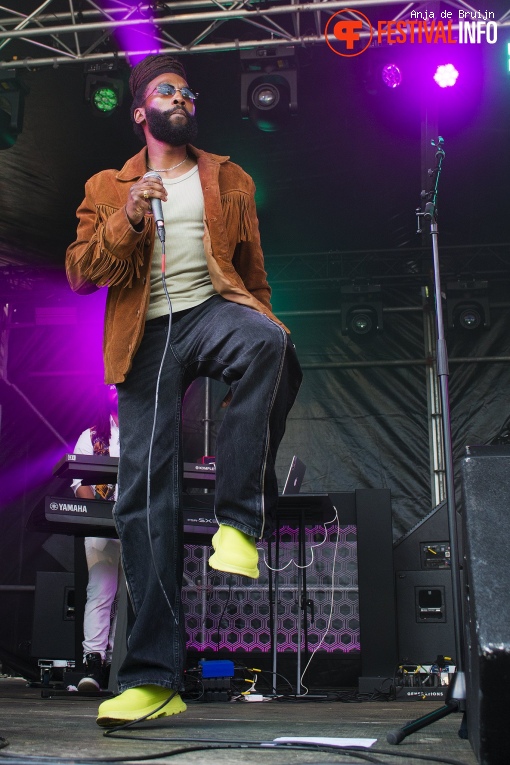 Steel And Stone op Bevrijdingsfestival Zuid-Holland 2024 foto