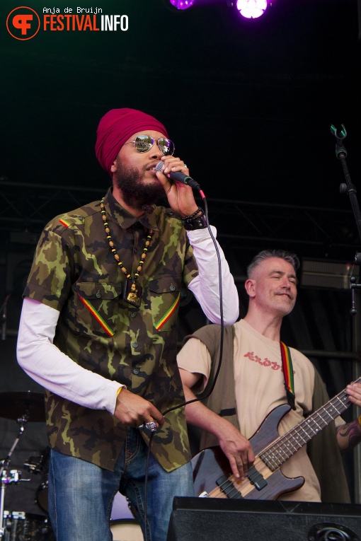 Steel And Stone op Bevrijdingsfestival Zuid-Holland 2024 foto