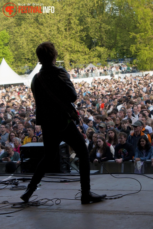 Bevrijdingsfestival Zuid-Holland 2024 foto