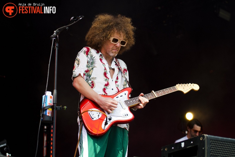 Goldkimono op Bevrijdingsfestival Zuid-Holland 2024 foto