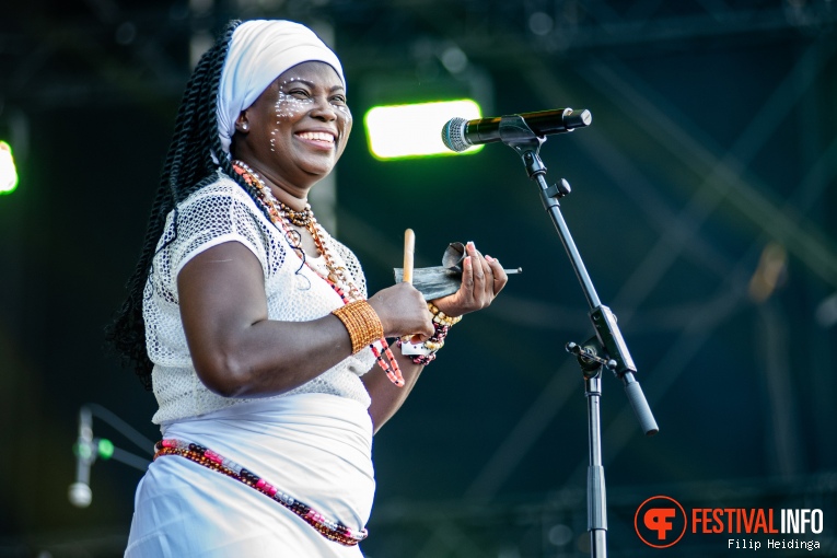 Togo All Stars op Bevrijdingsfestival Overijssel 2024 foto