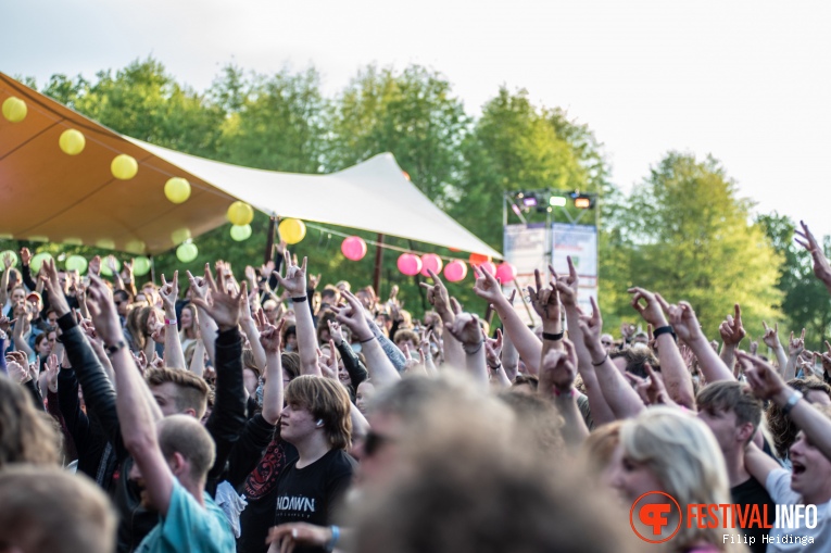 Bevrijdingsfestival Overijssel 2024 foto