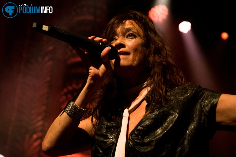 Nacht Van De Nederpop - 09/05 - Luxor Live foto