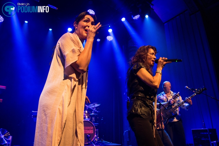 Nacht Van De Nederpop - 09/05 - Luxor Live foto